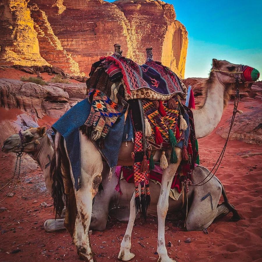 Wadi Rum Bedouin Time Extérieur photo